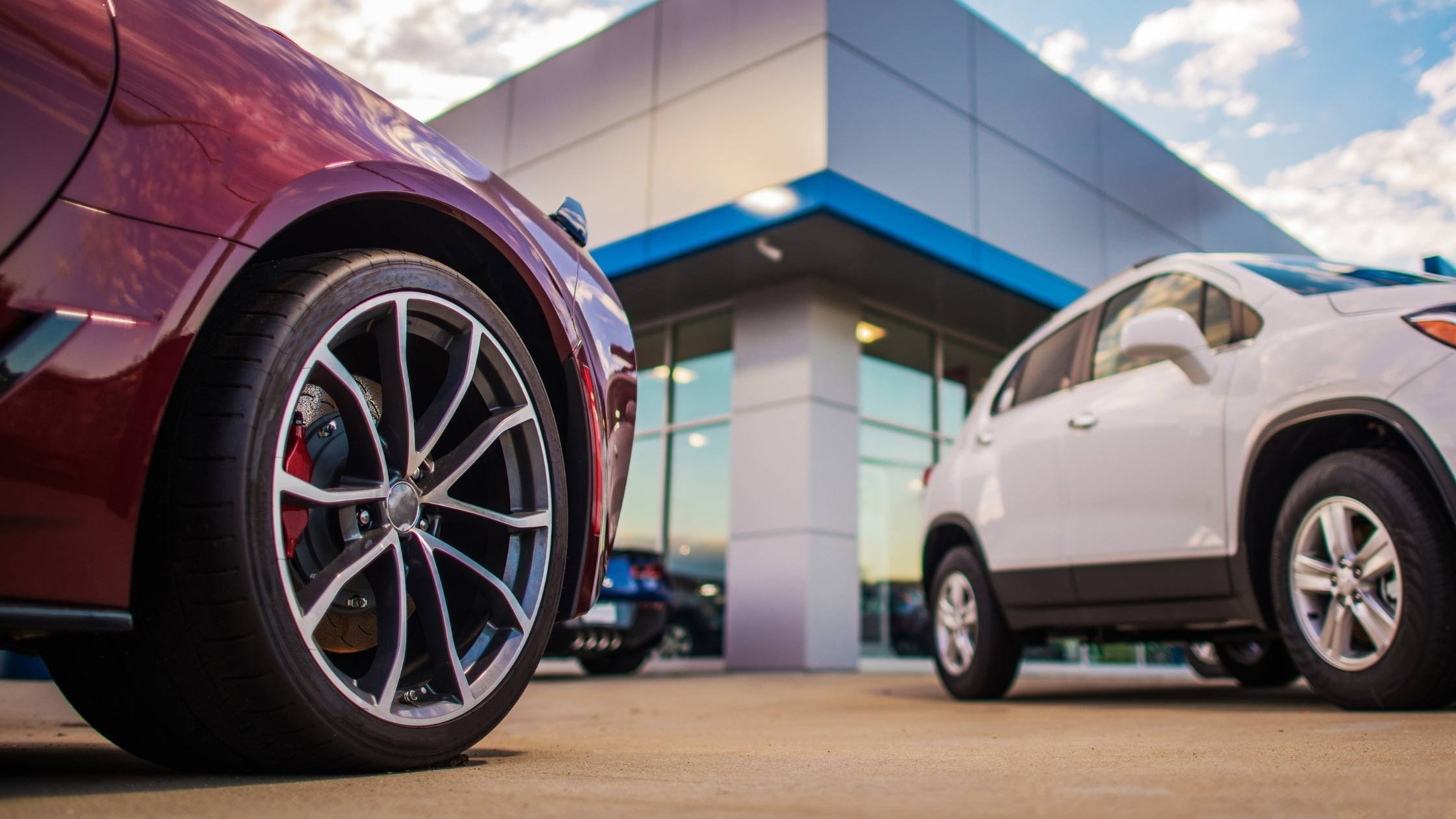 Untitled design (31)-1