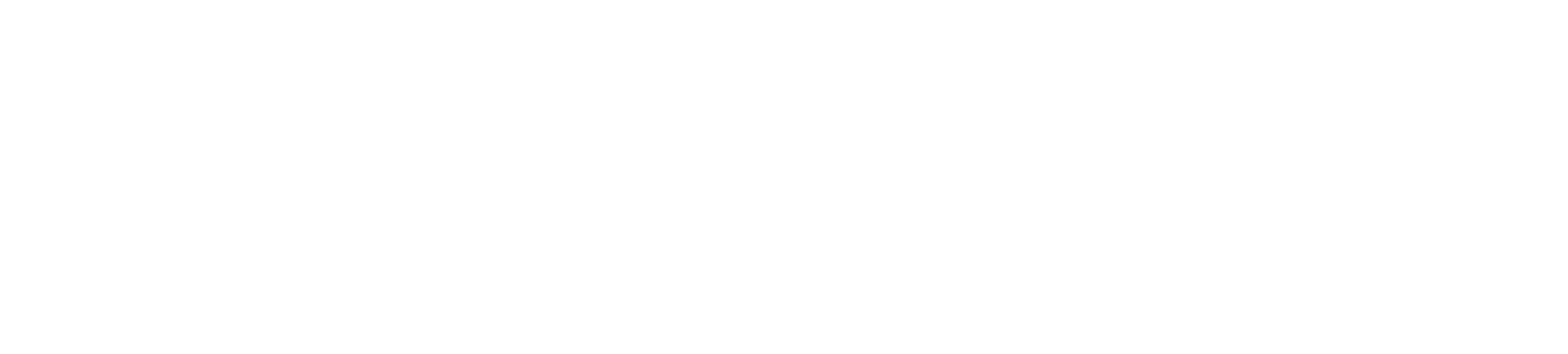 300 pxl white logo-1